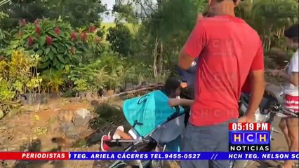 ¡De milagro no hay muertos! Descontrolada rastra arrasa con vivero en ca-5 en  Santa Cruz de Yojoa