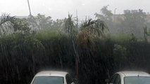 प्रदेश में बरसात का दौर जारी, डूंगरपुर में 36.0 मिमी बरसात