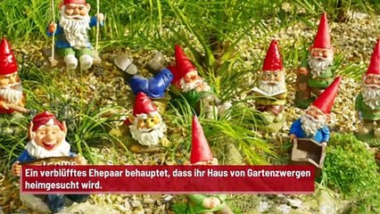 Zwerge dringen auf mysteriöse Weise in Vorgarten ein