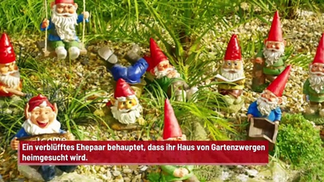 Zwerge dringen auf mysteriöse Weise in Vorgarten ein