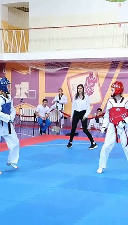 Taekwondo WTF Fight (2)