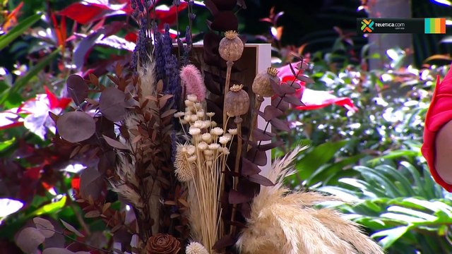 bd-cajas-de-regalo-para-mamá-100822