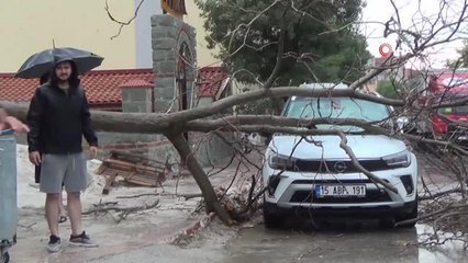 Fırtınada ağaçlar devrildi, yolları su bastı