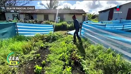 Habitantes de la Isla de Pascua subsisten gracias a la agricultura y pesca