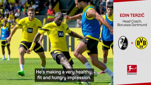 Dortmund's Terzic backs Haller replacement Modeste