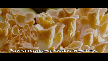 El menú -  Tráiler Oficial  Subtitulado
