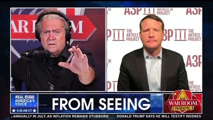 Mike Davis & Steve Bannon