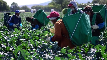 Hacienda eliminará 20 programas presupuestarios para el 2023