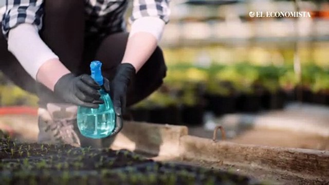México importa 24% de sus fertilizantes desde Rusia