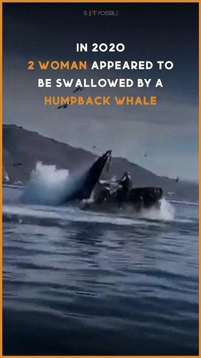 Whale Swallowed 2 Women