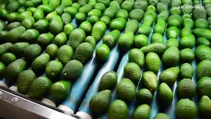 Gobierno anuncia medidas para reforzar plan antiinflacionario