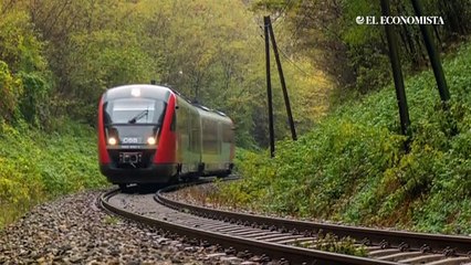 Revocan suspensiones definitivas contra obras del Tren Maya