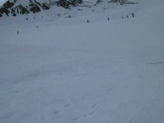 pierre qui vole n'amasse pas mousse