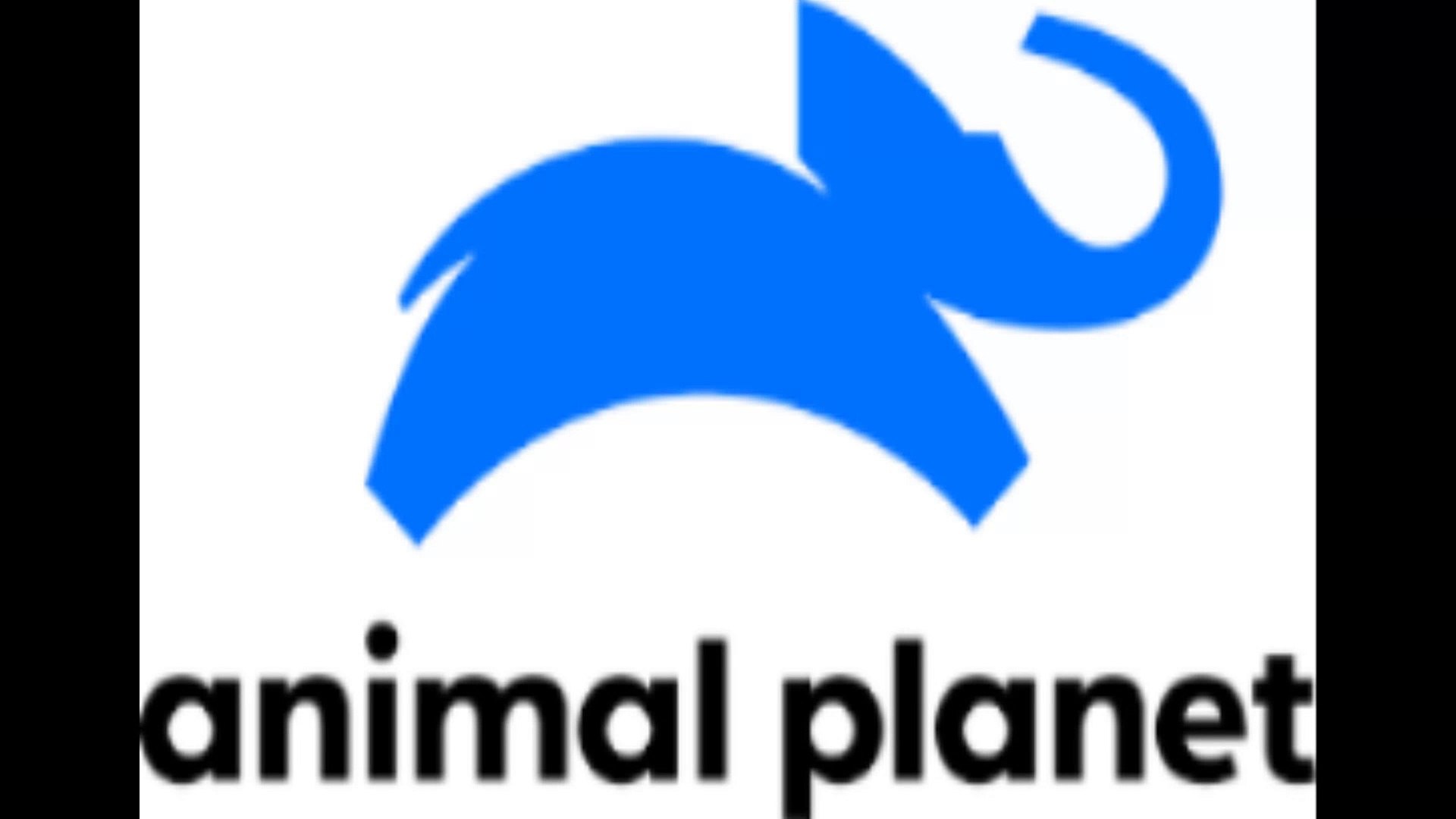 ⁣vere animal planet para olvidame de gumball