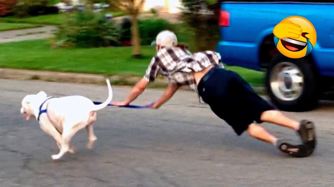 Best Funny Animal Videos 2022  - Funniest And Cute Dogs And Cats Videos