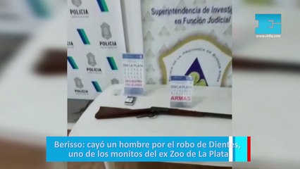 Berisso: cayó un hombre por el robo de Dientes, uno de los monitos del ex Zoo de La Plata