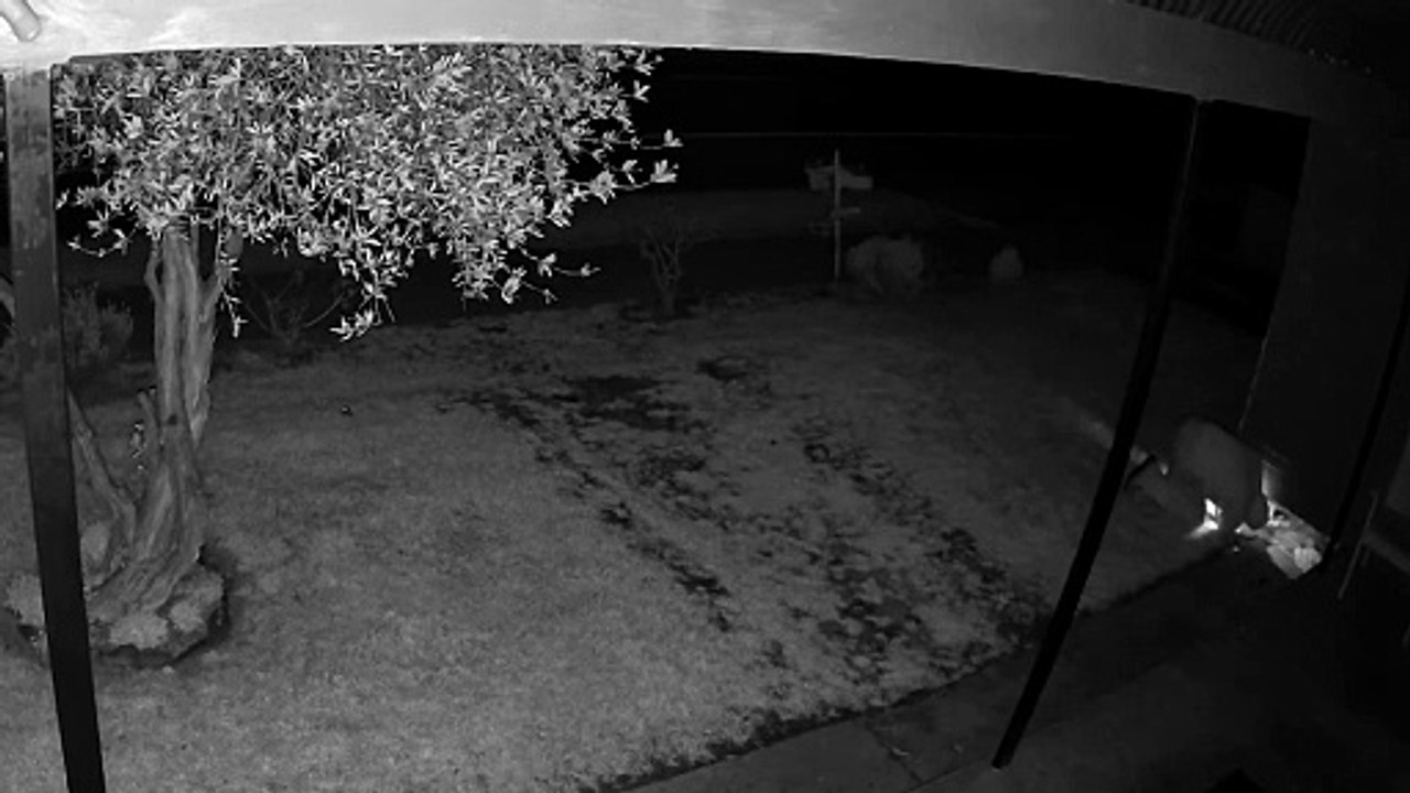 CCTV footage from a Long Gully house fire on July 22 | Bendigo Advertiser | August 2022