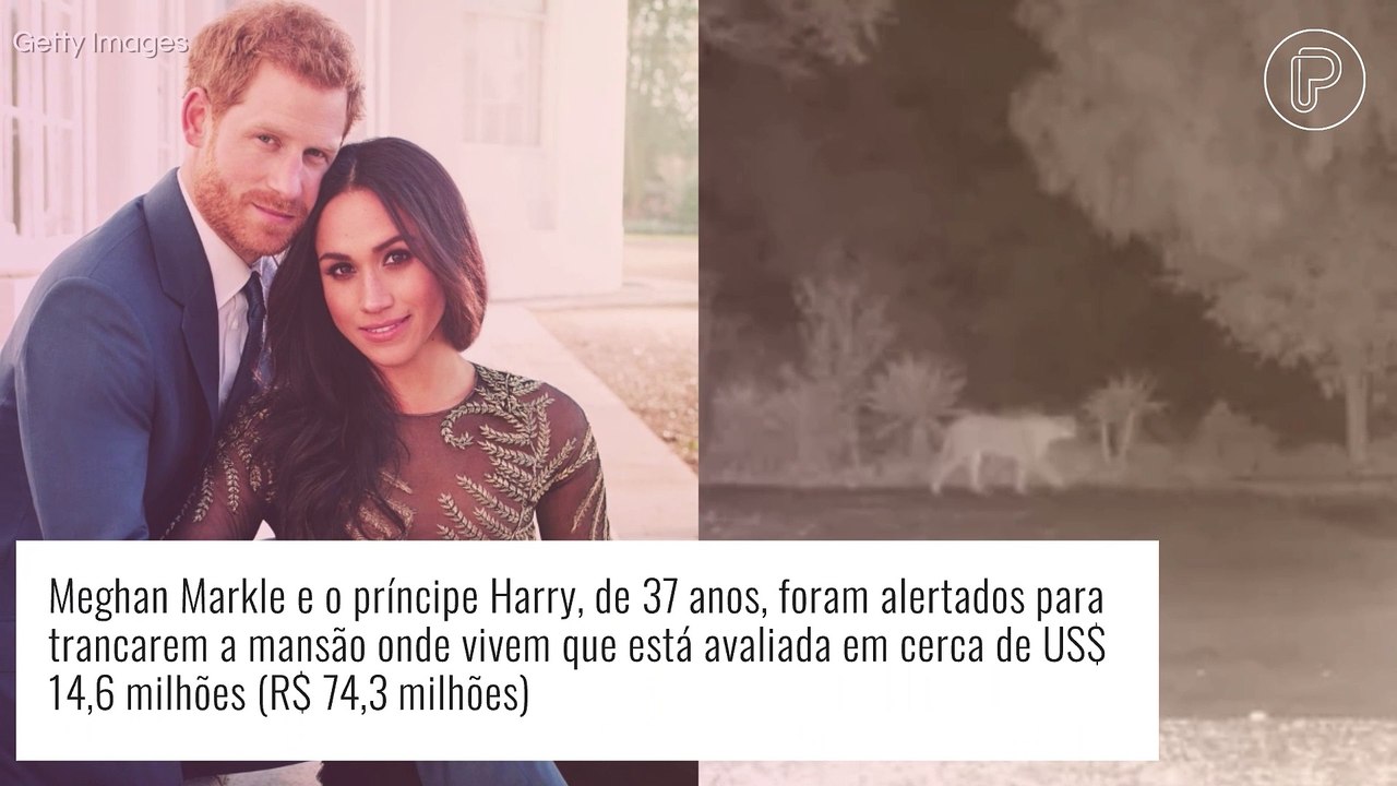 Meghan Markle e príncipe Harry: casal recebe alerta para trancar a casa por causa de leão. Entenda!
