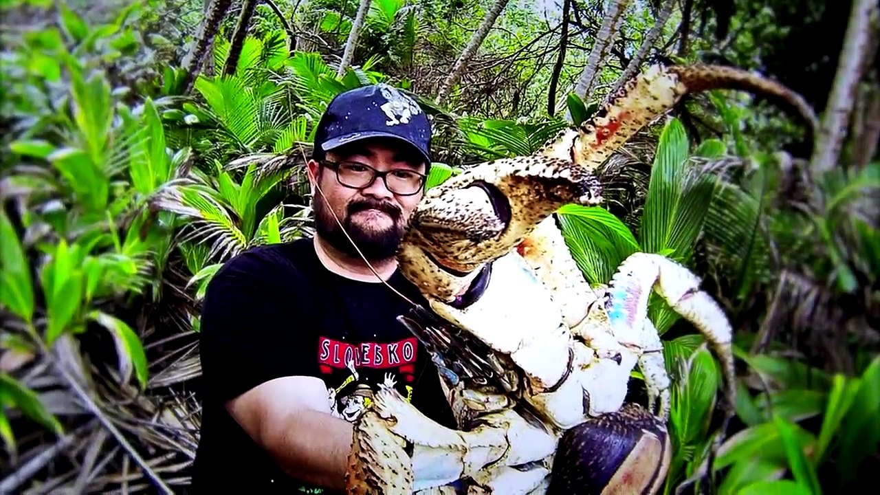 TOP 15 Animales Terroríficos Que No Creerás Que Existen