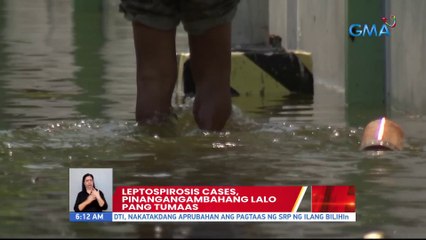 Leptospirosis cases, pinangangambahang lalo pang tumaas | UB