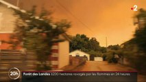 Un mois presque jour pour jour après le début du gigantesque incendie de Landiras (Gironde), le feu a repris avec vigueur
