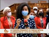 Comisión Permanente de las Familias impulsa la aprobación de 7 leyes de la República