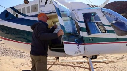 They're known for disappearing from the Australian landscape for decades at a time.. feared extinct.