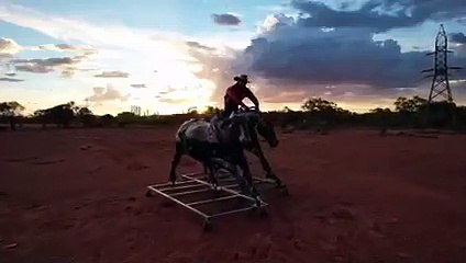 Claire Murphy Sculpture Ben and Scrap | August 11, 2022 | Katherine Times