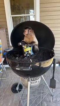 Back porch sitting and popcorn snacking