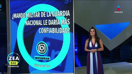 Perros surfistas participan en campeonato