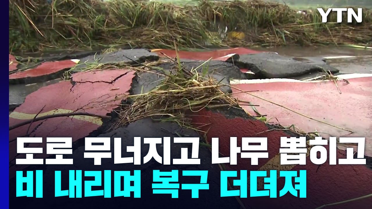 도로 무너지고 나무 뽑히고...폭우가 할퀴고 간 수도권 / YTN
