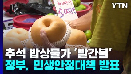 추석 밥상물가 '빨간불'...정부, 민생안정대책 발표 / YTN