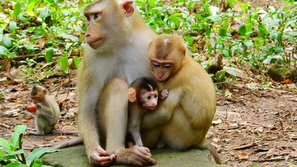 33=Oh no! What happen when Libby do this for Rainbow..