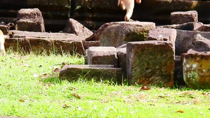 72=Wow! Ariana look so happy swimming with all friends today