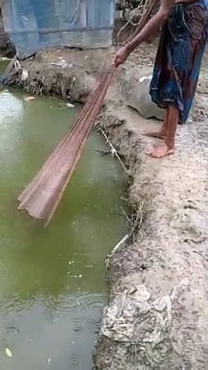 Amazing Net Fishing Video #shorts
