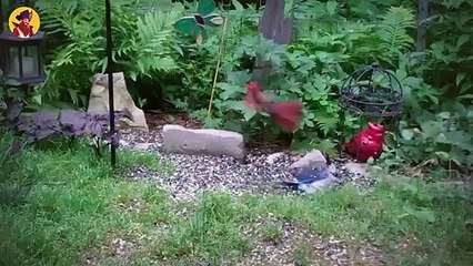 15 Merciless Birds On The FBI's Most Wanted List