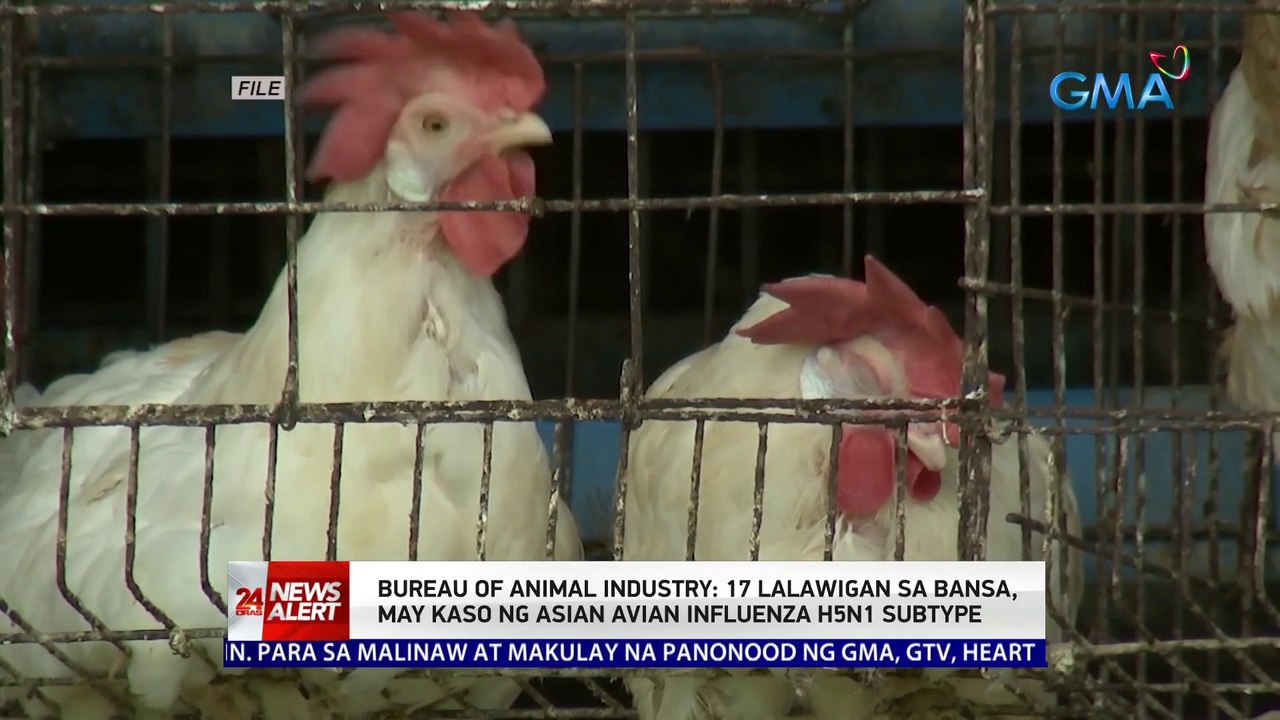 Bureau of Animal Industry: 17 lalawigan sa bans...