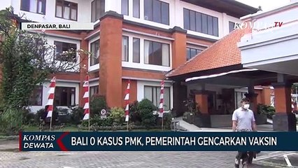 Bali Nol Kasus PMK, Pemerintah Gencarkan Vaksin