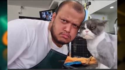 Video Lucu KucingKucing Tiktok Viral Ini Akan Membuatmu Ketawa