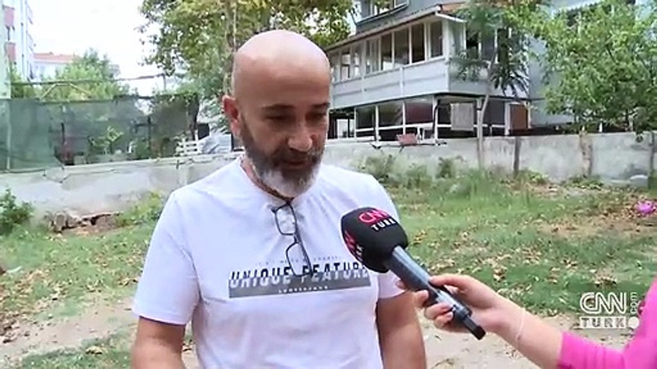 Evcil koç "Tonic"