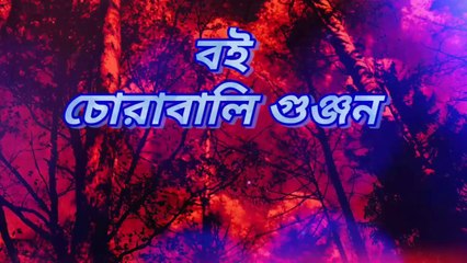 Chora Bali Gunjon Bangla Boi চোরাবালি গুঞ্জন বাংলা বই  কবিতা/Poems/@Book/@SA Tushar @ArtCreator ​