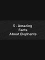 5 Amazing Facts  About Elephants 