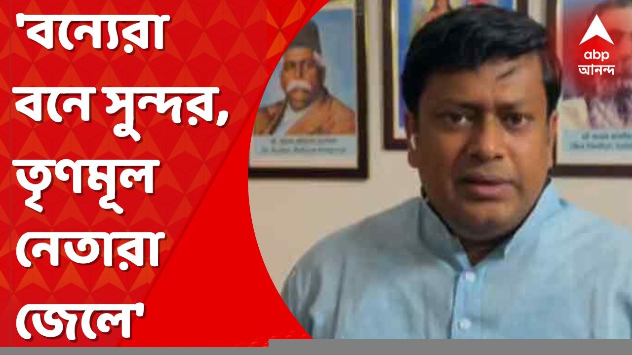 Sukanta Majumder On Anubrata Arrest: 'বন্য়েরা বনে সুন্দর, তৃণমূলনেতারা জেলে', অনুব্রতর গ্রেফতারি প্রসঙ্গে বললেন সুকান্ত মজুমদার। Bangla News