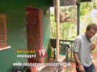 TARRUS RILEY STAY WITH YOU VIDEO