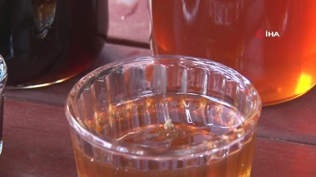 Balıkesir haberi | Balıkesir Büyükşehir Belediyesi 9 bin kraliçe arı üretti