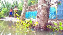 Amazing Hand Fishing ｜ Two Smart Boy Catching Big Catfish By Hand in Pond