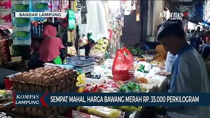 Sempat Mahal, Harga Bawang Merah Kini Turun 35 Ribu/Kg