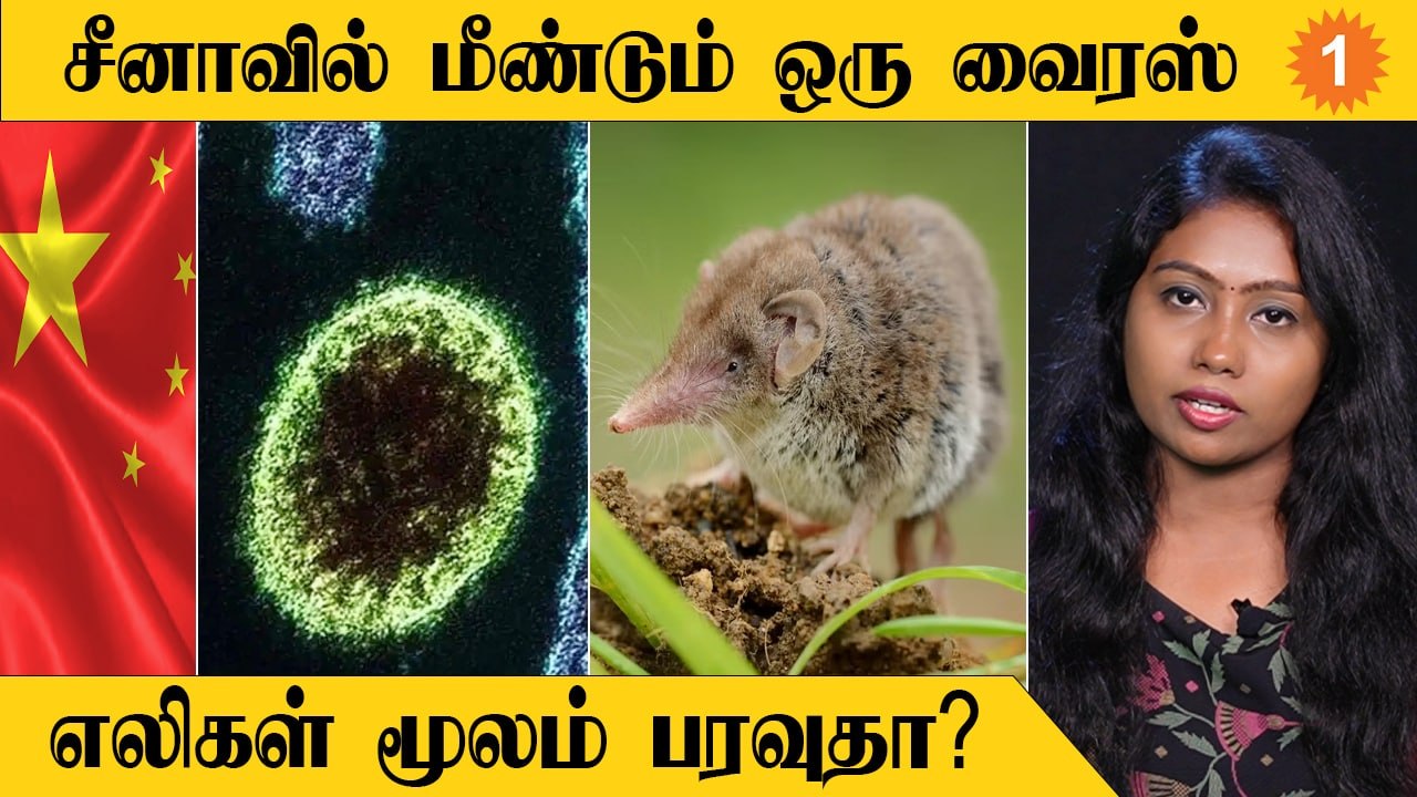 Langya virus | சீனாவில் வேகமாக பரவி வரும் அடுத்த வைரஸ் அச்சுறுத்தல் *Health