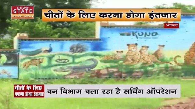 Madhya Pradesh News : Bhopal के नेशनल पार्क में अभी नहीं आएंगे Africa के चीते | Bhopal News |