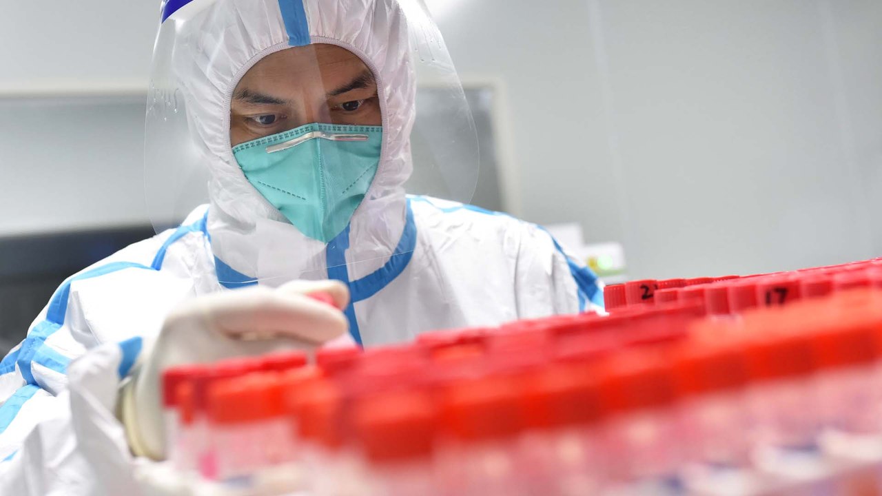 Langya-Henipavirus: Neuartiges Virus in China ausgebrochen!